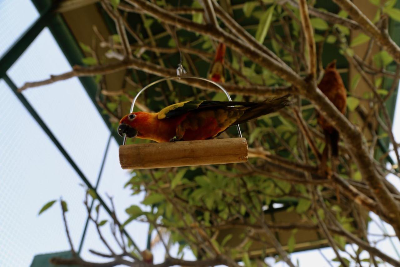 Manas Resort With Petting Zoo, Igatpuri Extérieur photo