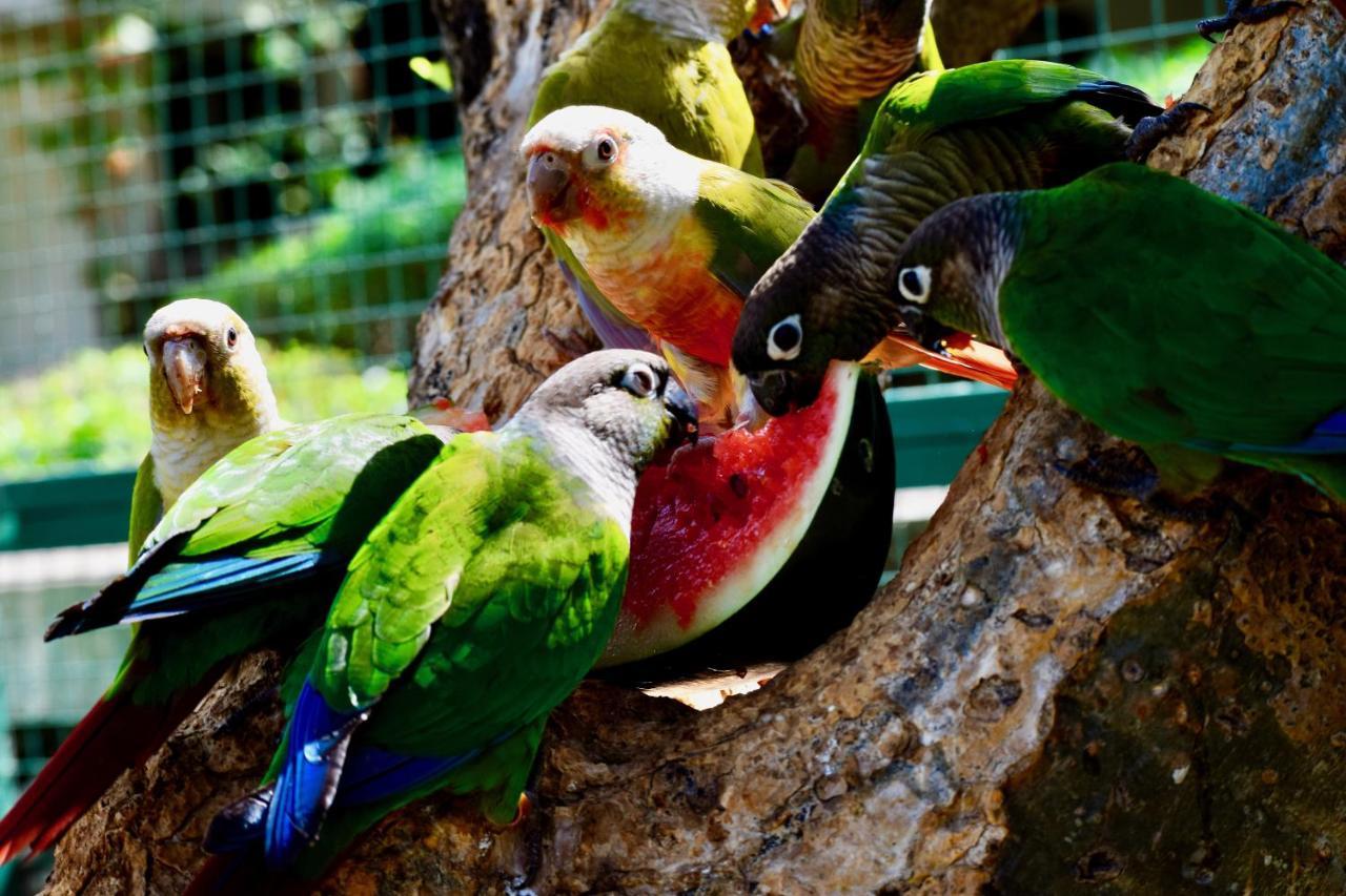 Manas Resort With Petting Zoo, Igatpuri Extérieur photo